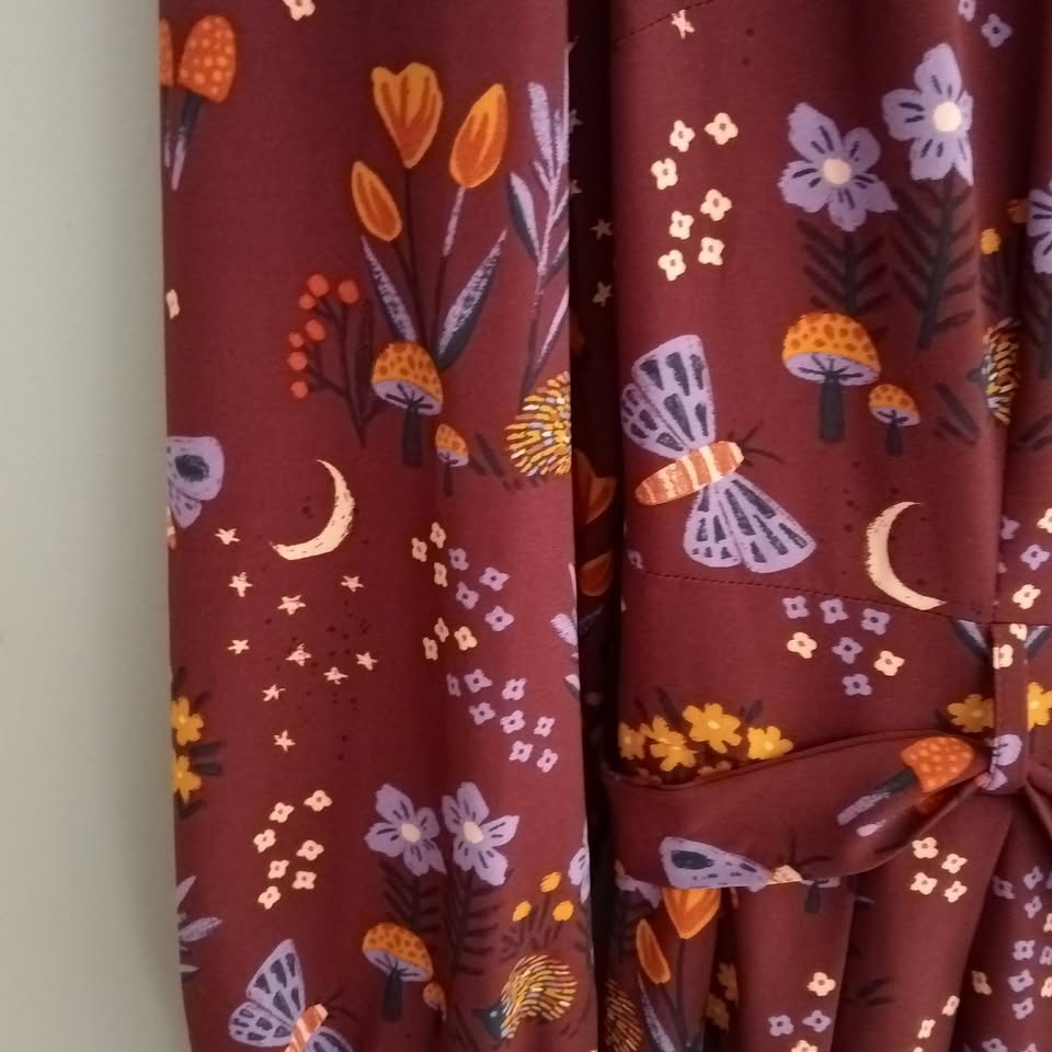 burgundy floral & butterfly dress, princess highway, size 6, new with tags